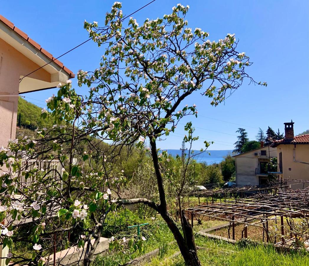 Villa Flamingo Mošćenička Draga 外观 照片