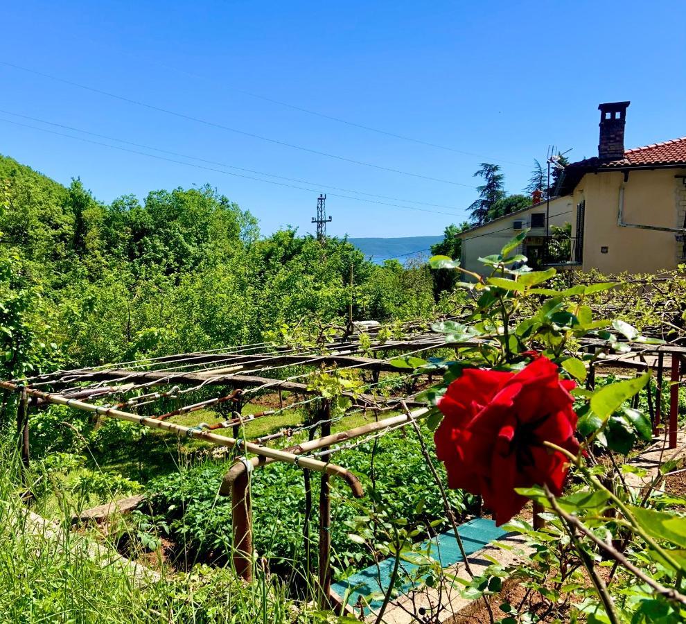 Villa Flamingo Mošćenička Draga 外观 照片